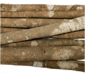 Whole Cassia